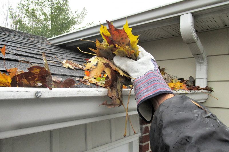 Gutter Downspout Unclogging in Longmont, CO